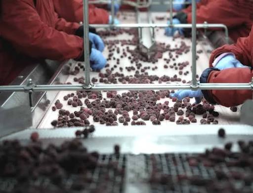 How Does A Food Traceability System Speed Up Recall Response?